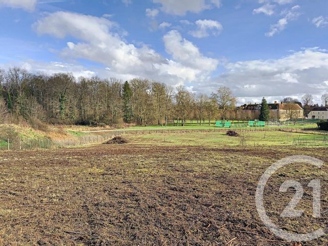 terrain à vendre - 1572.0 m2 - LA CHAPELLE GAUTHIER - 77 - ILE-DE-FRANCE - Century 21 Cerim terrain à vendre - 1572.0 m2 - LA CHAPELLE GAUTHIER - 77 - ILE-DE-FRANCE - Century 21 Cerim
